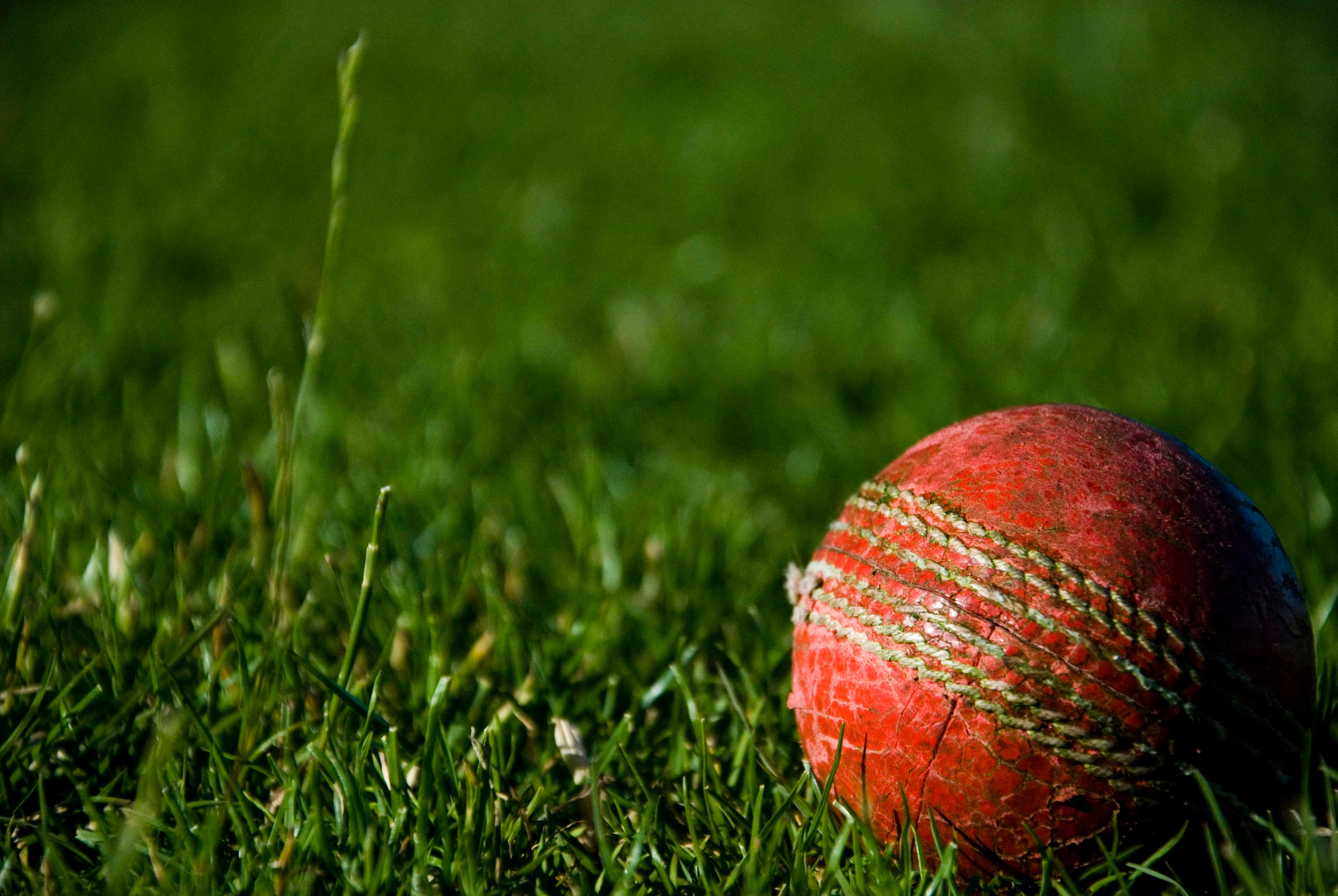 Red cricket ball resting on green grass