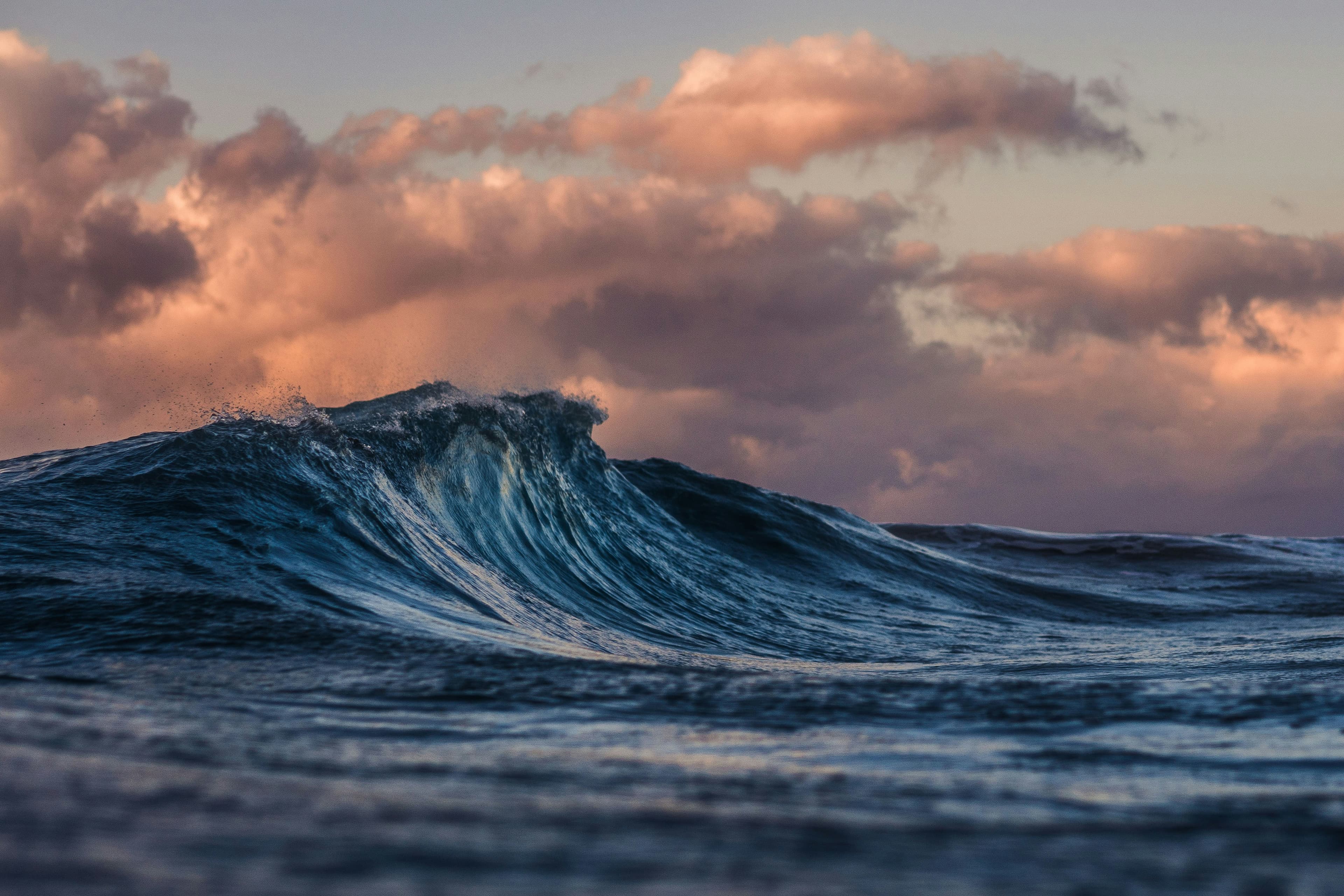 A large wave rising in the sea at dusk (representative image)